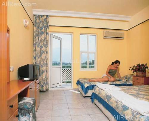 Le Palm 3